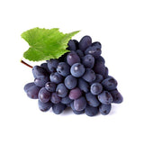 fat fermentum metusid